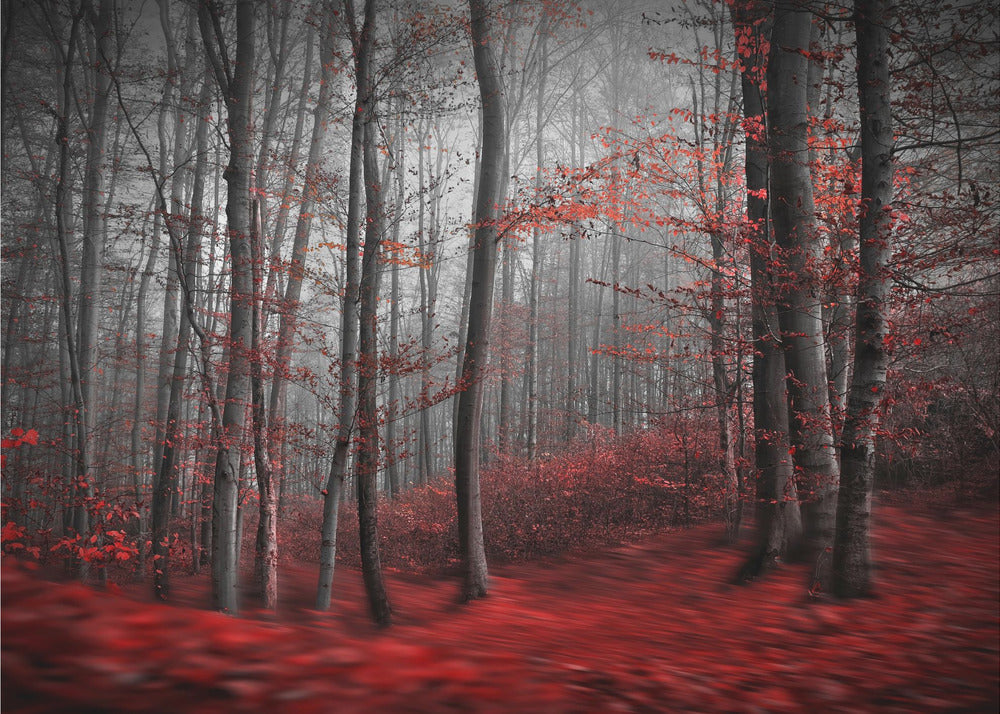 Río Sangriento | Papel Pintado Fotográfico