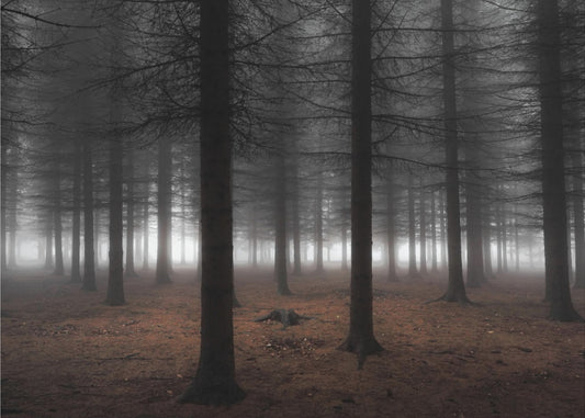 Silence | Posters - Affiche Artistique