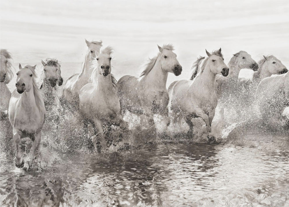 Illusion von Macht (allerdings 13 PS) | Fototapeten