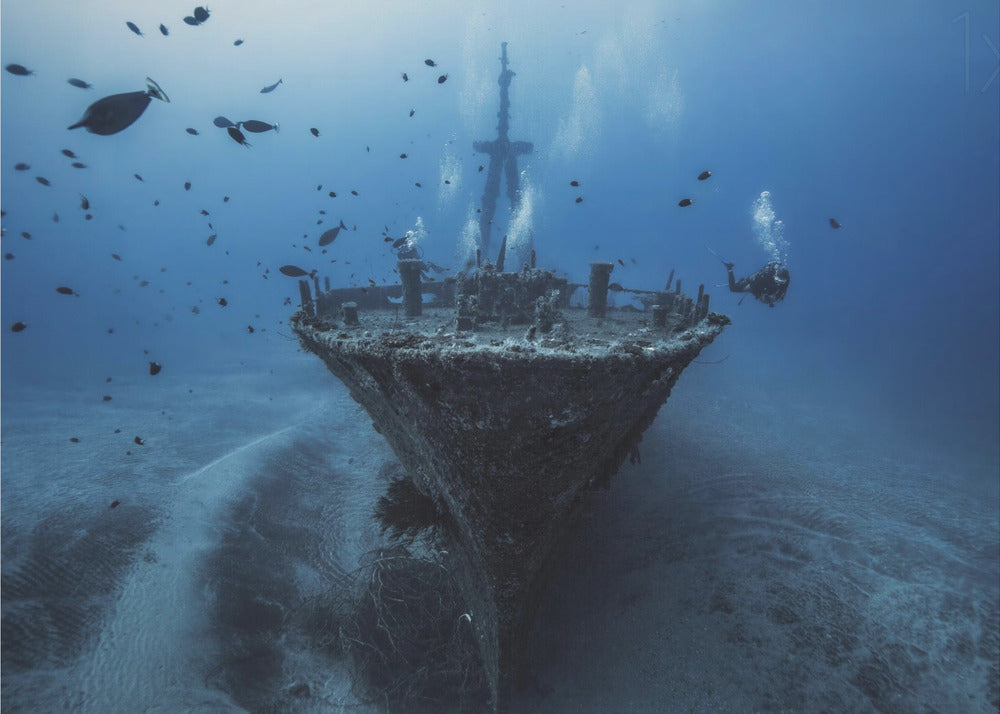 Bonjour Wreck | Posters - Affiche Artistique