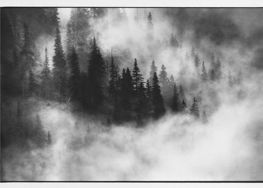 Agharta III | Tableaux sur Toile