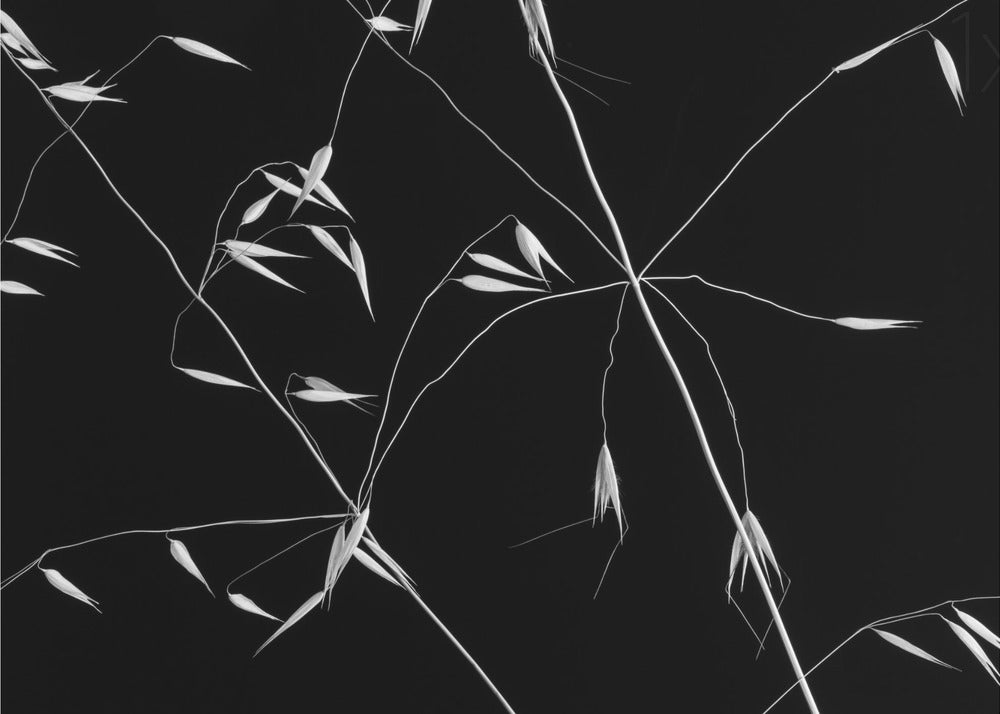 Linee incrociate | Poster - Stampe d’Arte