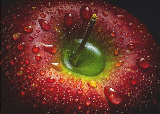 Roter Apfel | Poster - Kunstdruck