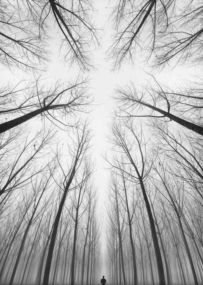 HET KRUIS | Canvasprints