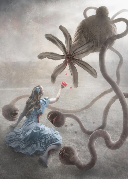 Pays des merveilles ? | Toile