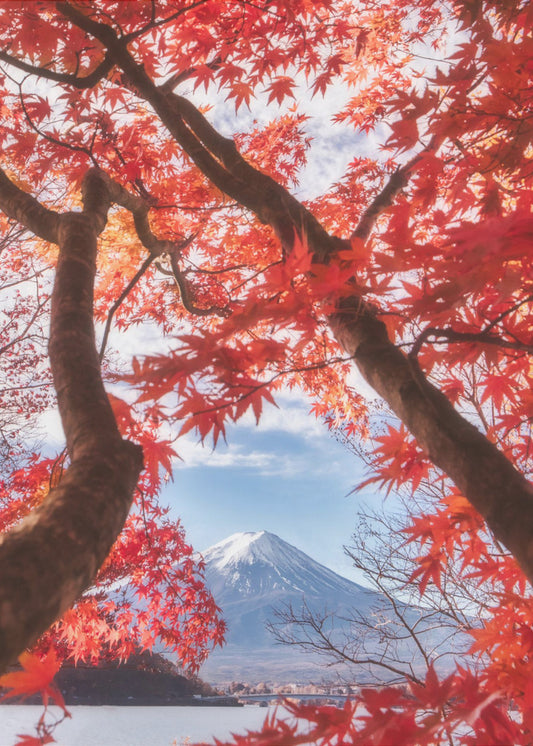 Mt. Fuji er i efterårsbladene | Lærredsbilleder