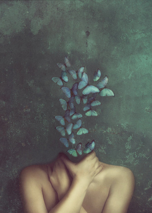 Des papillons dans ma tête | Toile