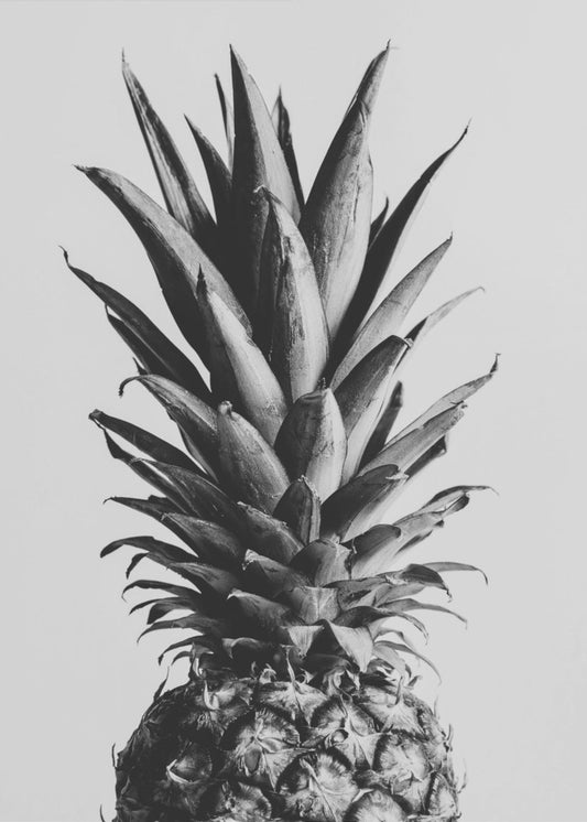 Ananas mustavalkoinen 02 | Canvastaulut