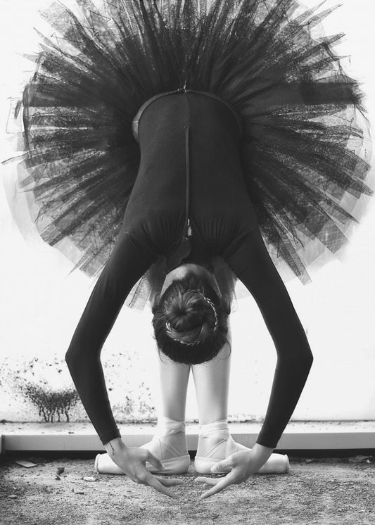 Ballerina | Leinwand-Bilder