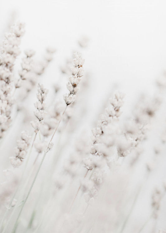 Grass straws | Canvas
