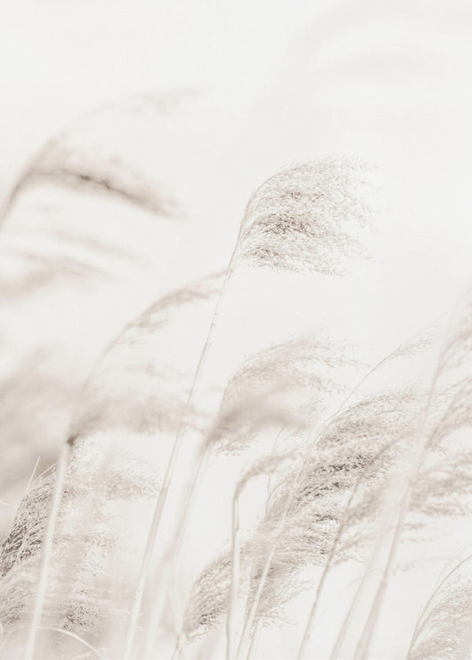REED | Canvas