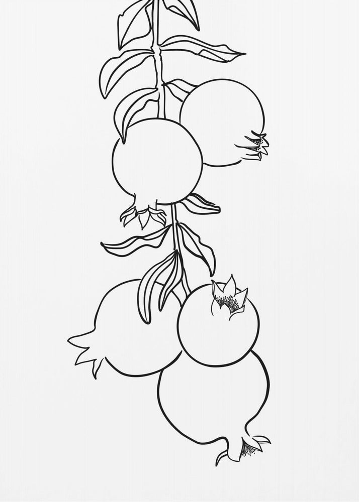 Granatæblegren | Plakater - Kunsttryk