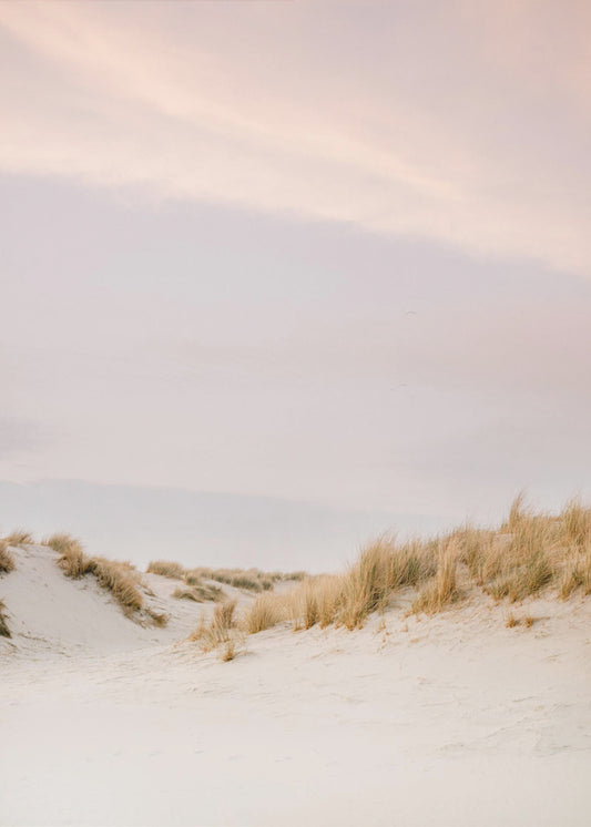 Dunes d'Ameland 3 | Tableaux sur Toile