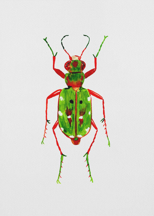 Green tiger beetle or Cicindela campestris | Canvas