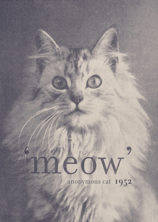 Famous Quote Cat | Poster