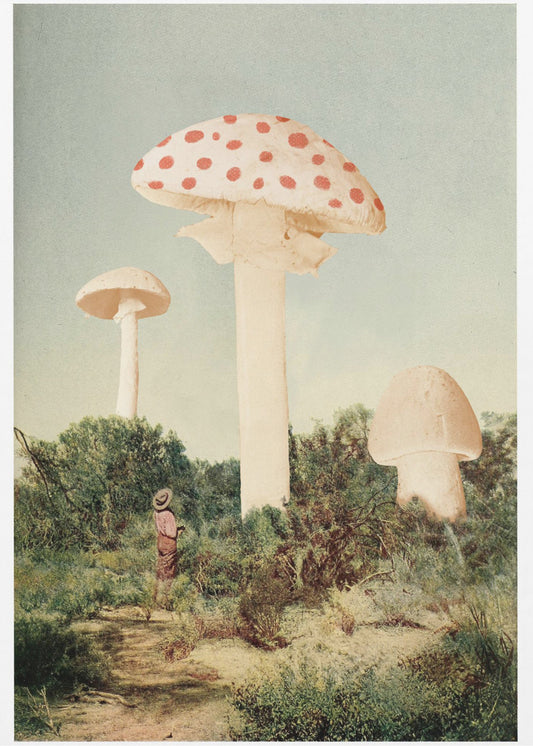 Le meilleur champignon géant | Tableaux sur Toile