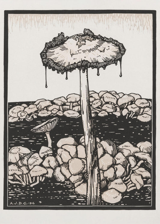 Champignon dégoulinant 1916 | Tableaux sur Toile