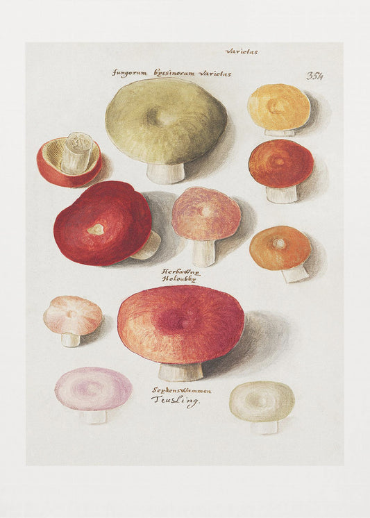 Cèpes, Cèpes debout | Tableaux sur Toile