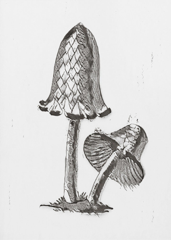 Champignon comestible vintage à capuchon d'encre BW Bright | Tableaux sur Toile