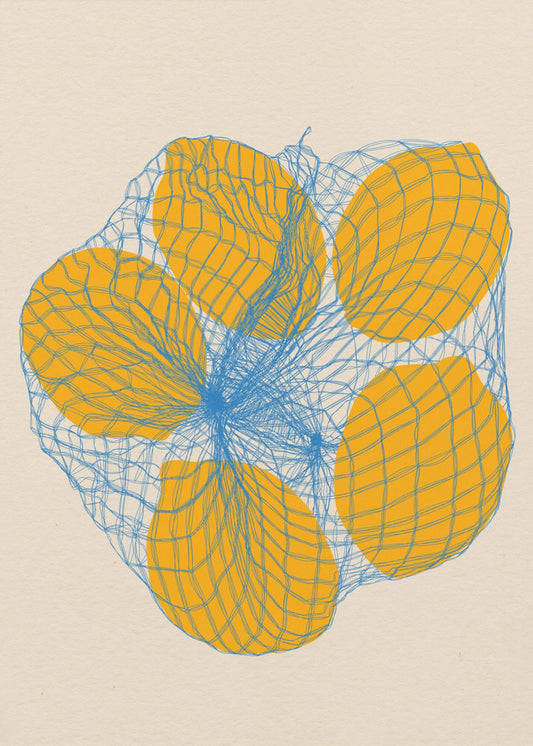 Cinq citrons dans un sac en filet | Tableaux sur Toile