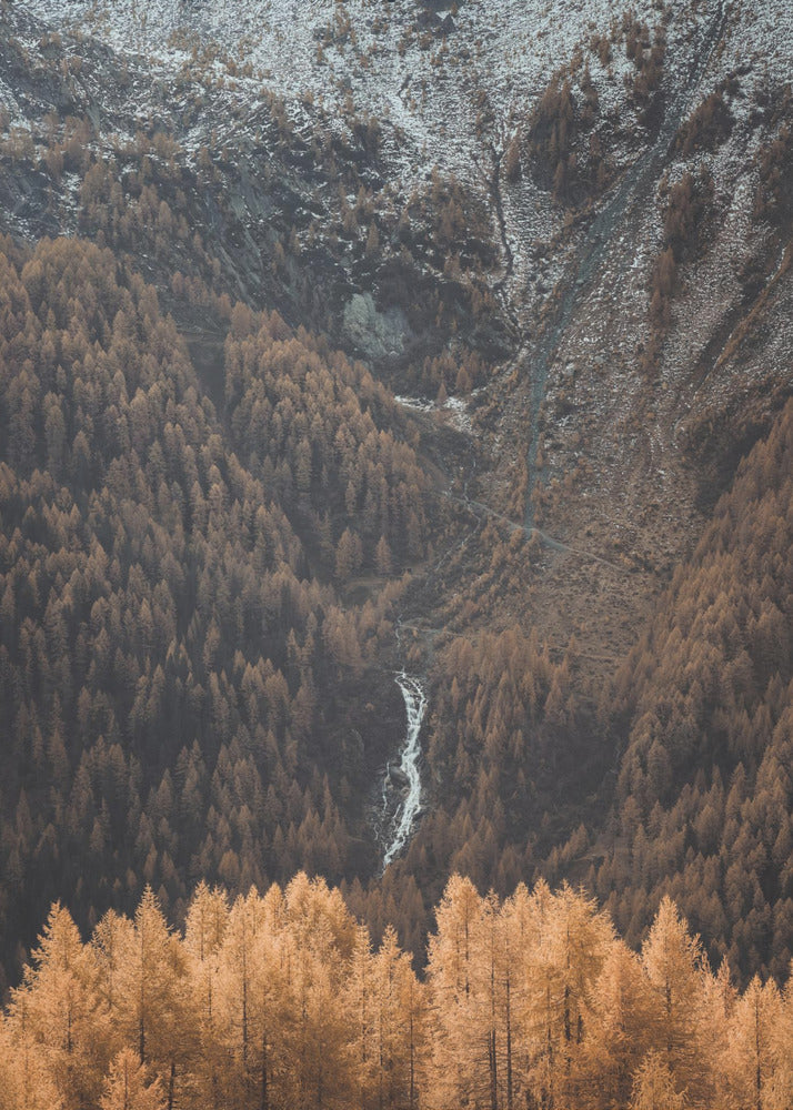 Drapery Falls | Canvastaulut
