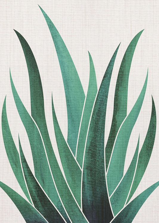 Cactus agave du désert | Tableaux sur Toile