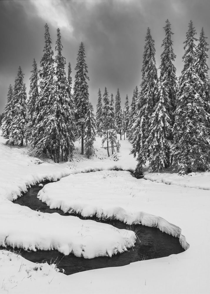 Pierwszy śnieg | Wydruki na łótnie