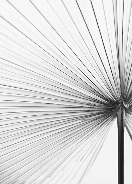 Leaf | Canvas