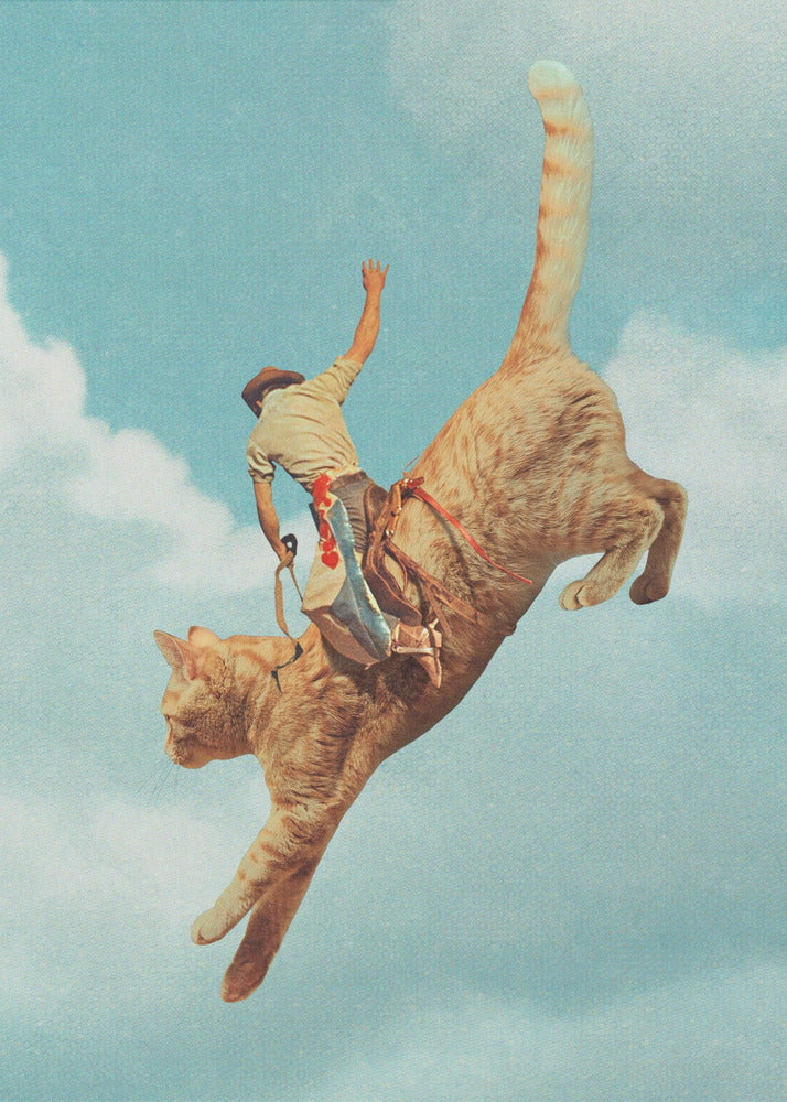 Gatto Meehaw Rodio | Stampe su Tela