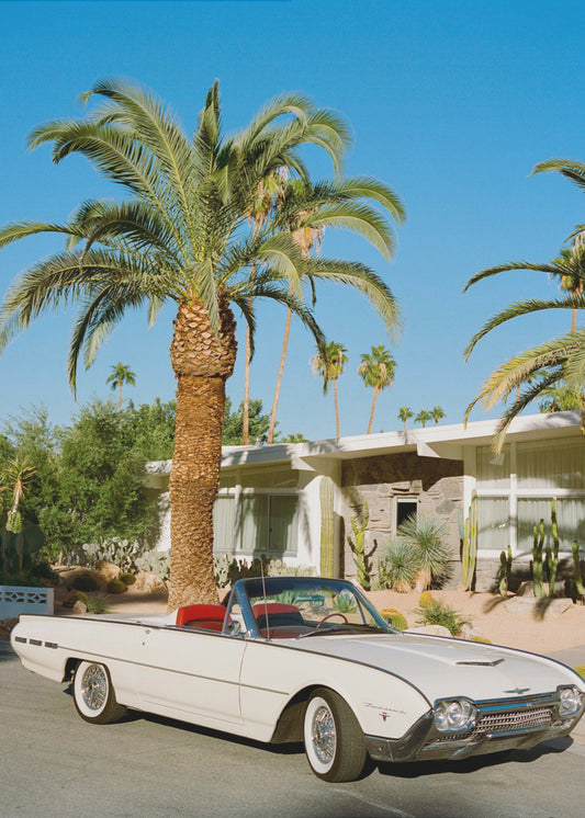 Palm Springs Thunderbird | Tableaux sur Toile