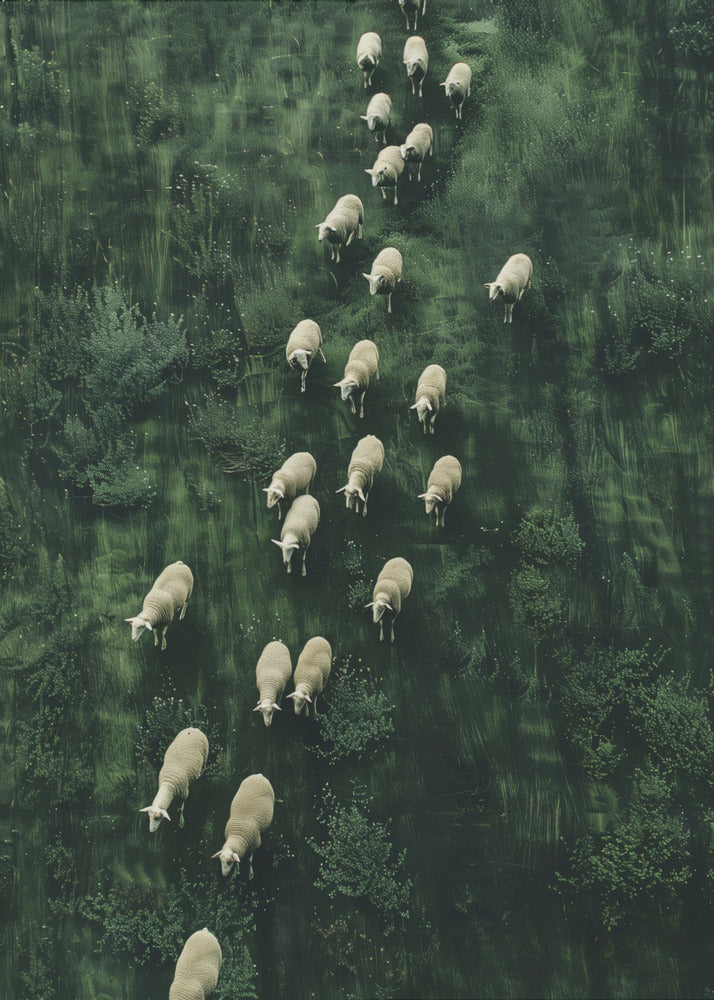 Sheep&#039;s Journey Home | Canvas