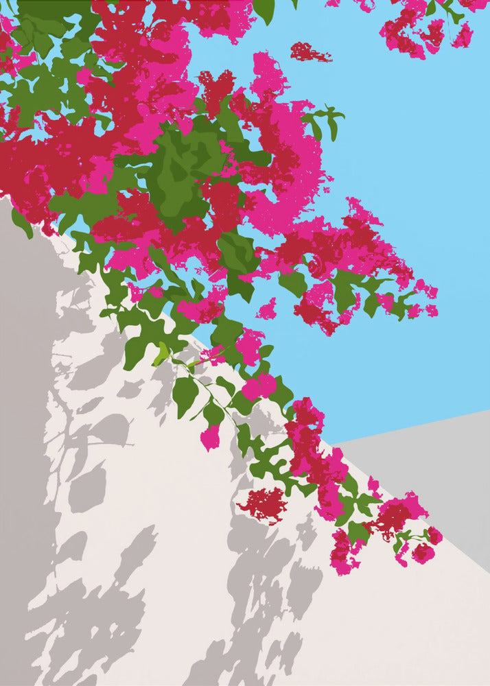 Bougainvillea-Blüte | Leinwand-Bilder