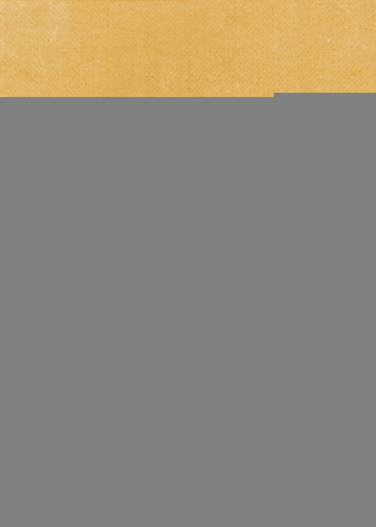 Nuances Terre | Toile