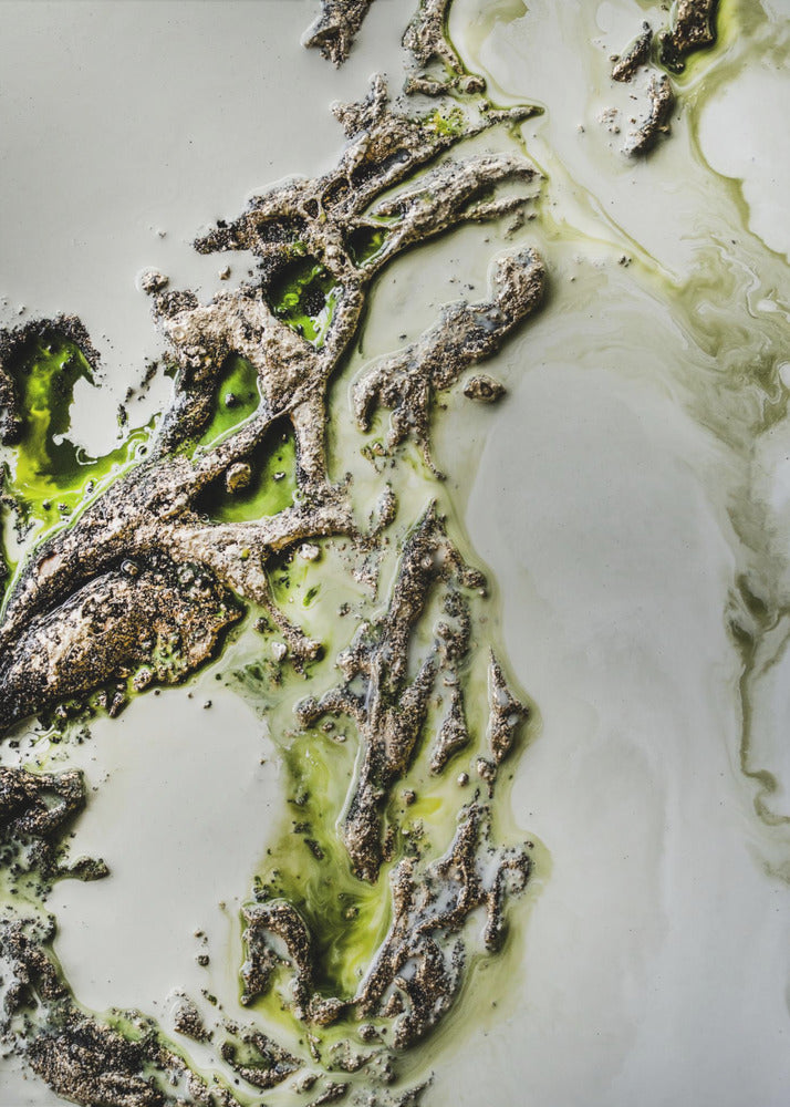 Art contemporain - L'énigme de l'olive - Touche de vert | Toile