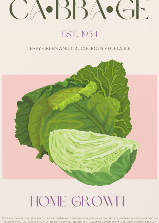 Crisp Cabbage Bliss | Poster