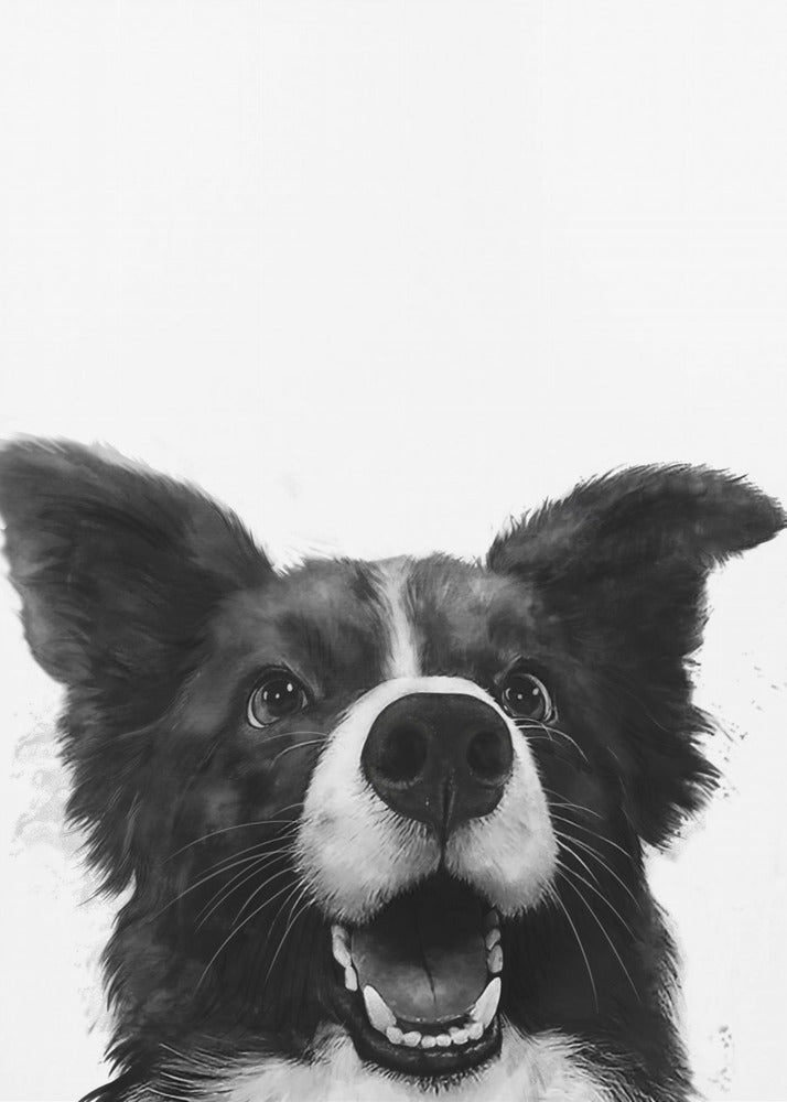Glædesfuldt hundeblik | Lærredsbilleder