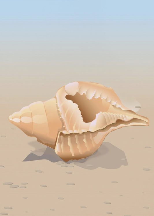 Seashell On A Sandy Beach | Canvas