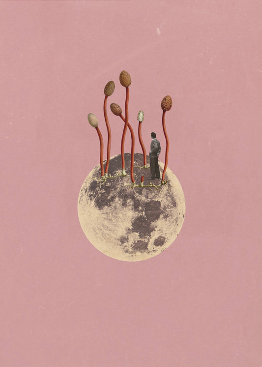 Lunar Growth | Canvas
