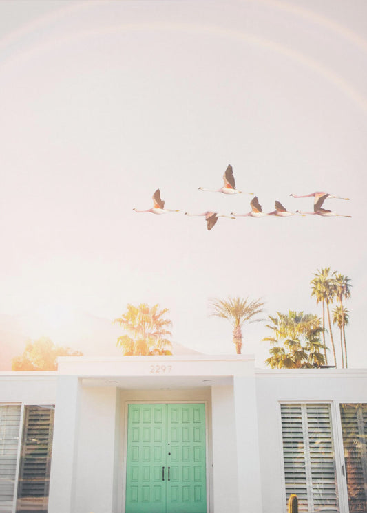 Flamingos i Palm Springs | Canvas