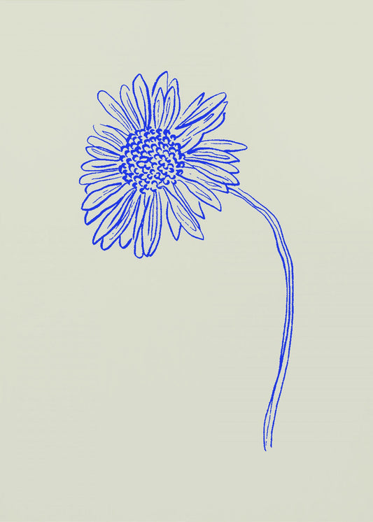 Blue Blossom Sketch | Poster