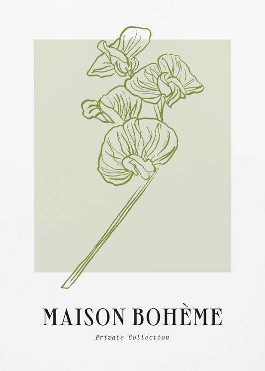 Elegant Blooms | Poster