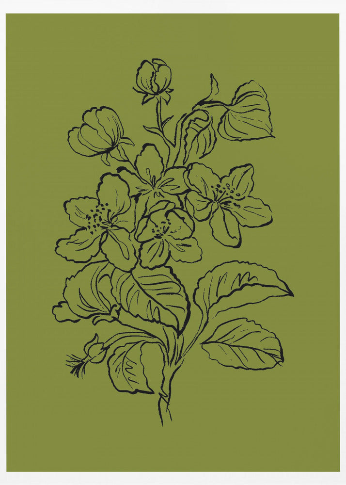 Botanical Elegance | Poster