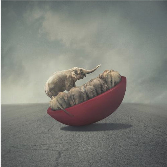 La vie est un équilibre | Affiche