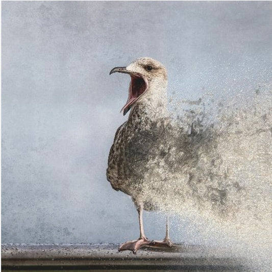 Oiseau aquatique | Toile