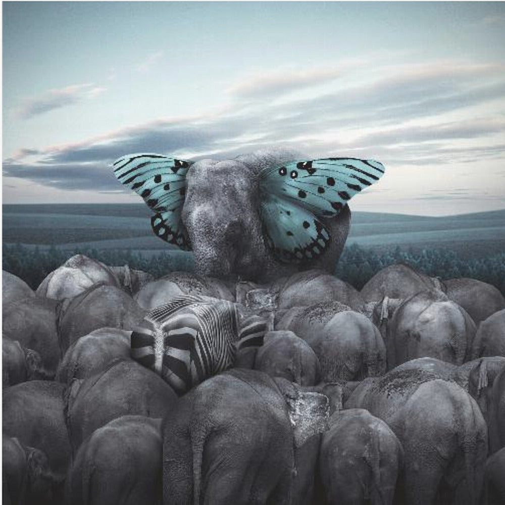 Salut au Roi | Toile