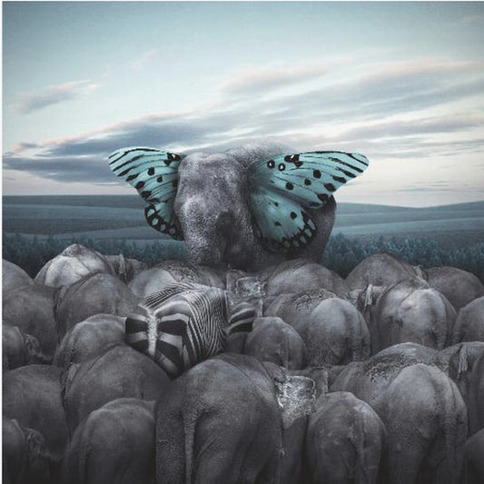 Salut au Roi | Toile