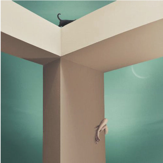 Cherchez et vous trouverez - Y | Canvas