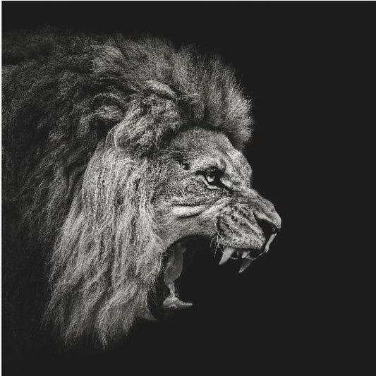 Roaring Lion #2 | Canvas