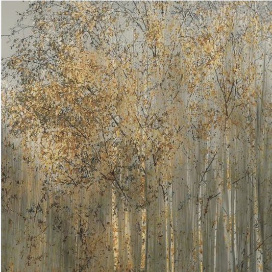 Impression bouleau | Tableaux sur Toile