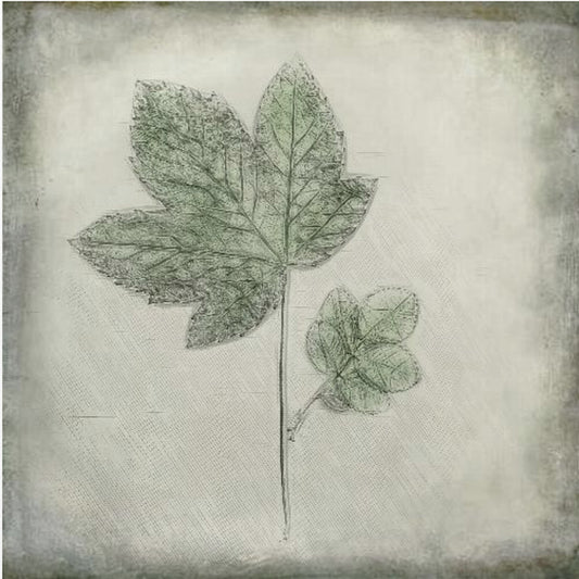 Avant le déclin | Toile